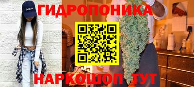 мдпв Мариинск