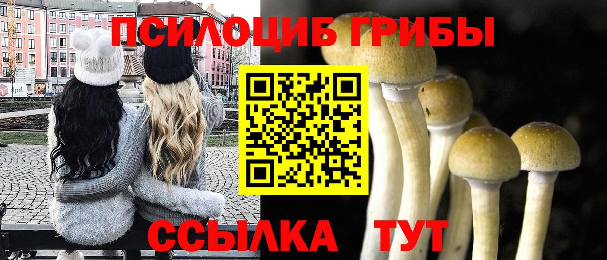 наркота  Вход с VPN  Чусовой  Псилоцибиновые грибы Psilocybe  Галлюциногенные грибы MAGIC MUSHROOMS 